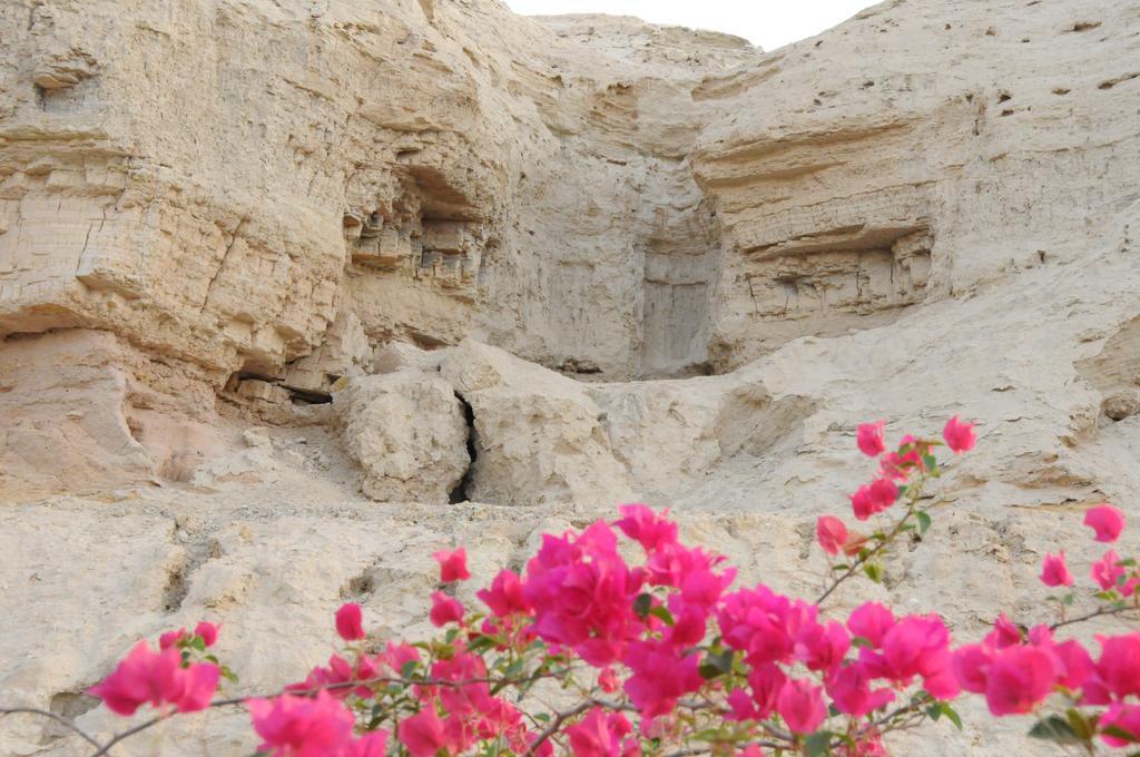 Dead Sea Dawn Villa Neot HaKikar Buitenkant foto